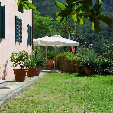 Villa Pacinotti 피스토이아 외부 사진