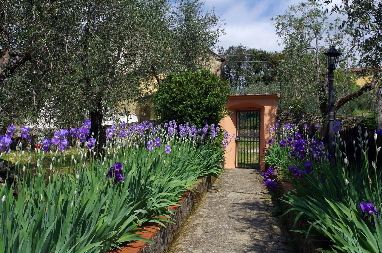 Villa Pacinotti 피스토이아 외부 사진
